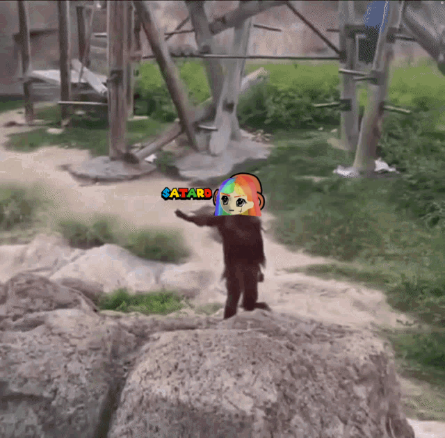 monkey_tard.gif