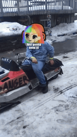 send_it.gif