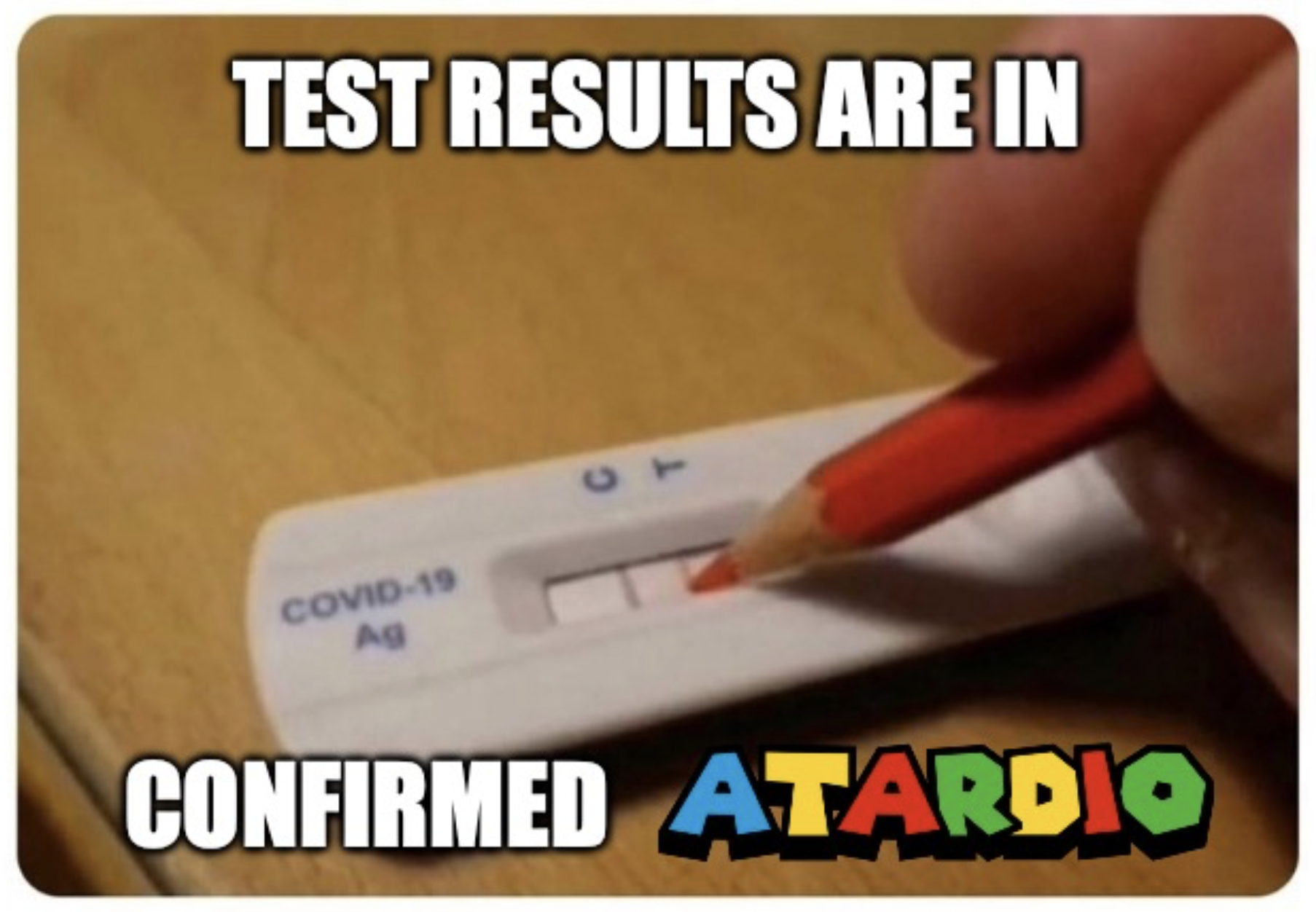 test_results.png
